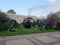 Стало известно, когда в Новороссийске поставят главную городскую елку