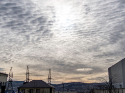 Погода в Новороссийске: небольшой дождь и тепло