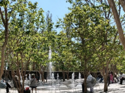 Вход закрыт: в пяти парках Новороссийска проведут обработку от клещей и комаров с 28 апреля