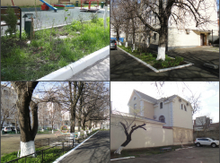 Лодку и шахматный столик дарят за фотографию своего двора