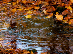 Выходные с зонтиком: в субботу синоптики обещают дождь в Новороссийске