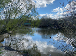 Место, где природа живет: где провести выходные в Новороссийске