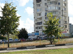 Успеет ли депутат Ярышев за три дня детскую площадку восстановить?