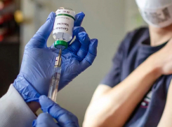 Сколько доз вакцин от коронавируса поступило в Новороссийск 