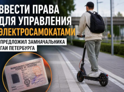 Для электросамокатов предложили ввести отдельные водительские права