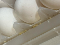 Яйца с червями доставили жительнице Новороссийска