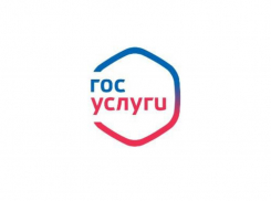 Госуслуги блокируют пользователей за работу некоторых приложений