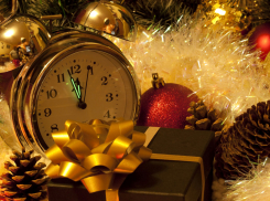 Новому году быть: замглавы Новороссийска рассказала о праздничных выходных 