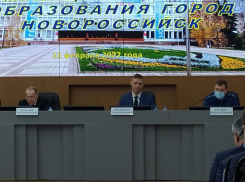 Дума «забрала» у мэра Новороссийска одно из управлений