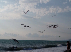 Украина пытается сорвать туристический сезон на юге России: за что аналитики требуют штрафовать южан