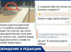 «Буду рассыпать отраву»: женщина пригрозила хозяевам кошек в Новороссийске 