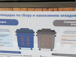 Где контейнеры под пластик? Новороссийск рискует выйти на раздельный сбор мусора
