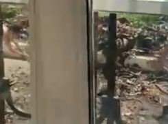 Обычные новороссийские мальчишки убирают двор вместо коммунальщиков