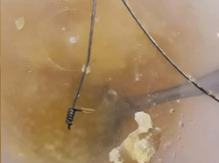 Мёд с куском проволоки приобрела жительница Новороссийска 