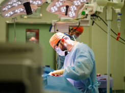 «Будет некрасиво»: мальчику из Сочи, которому хаски откусили лицо, сегодня проводят операцию