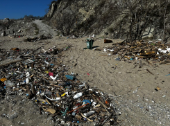 Волочаевский пляж Новороссийска тонет в мусоре 