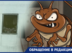 Страшно представить, что творится за дверью: жительница Новороссийска о соседке, устроившей антисанитарию в подъезде