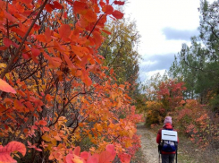 Топ-3 пешеходных осенних маршрута недалеко от Новороссийска