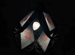 У новороссийца вопрос к ТНС-Энерго: до показаний счётчика на верху столба никак не добраться 