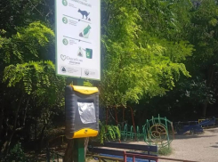 Пионерскую рощу Новороссийска решили сделать чище