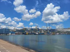 Мошенник из Санкт-Петербурга ввёз через Новороссийск автомобили из США, но кое-что забыл