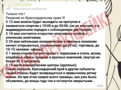 Оперштаб опроверг еще один фейк из чатов новороссийцев