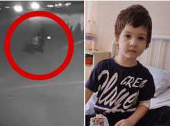 Неизвестный оставил малыша на улице под Новороссийском: видео 