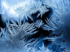 На Кубани ожидаются заморозки: что насчет Новороссийска 