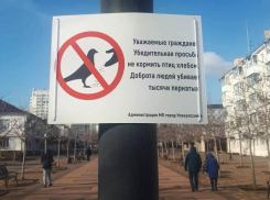 Новый необычный знак привлёк внимание новороссийцев