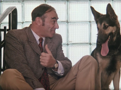 Три бутылки виски, шуба норковая, несколько курток: новороссийца обчистили, как героя комедии Гайдая