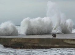 Ветра и резкое похолодание: на Новороссийск надвигается стихия 
