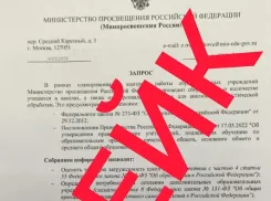 Школы Новороссийска предупреждают о мошенниках, выманивающих личные данные 