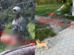 18+ В парках Анапы детей пугают мужчины без штанов