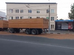 Больше 3 тонн зерна рассыпалось по улицам Новороссийска 