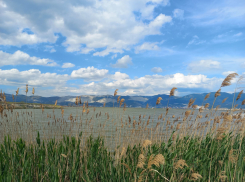 Погода в Новороссийске: выходные встретят новороссийцев теплом и солнцем