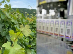 Импортные вина, «крепыш» и цветы новороссийцам будут обходиться дороже