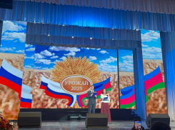 Два новороссийских предприятия признаны лучшими на Кубани 