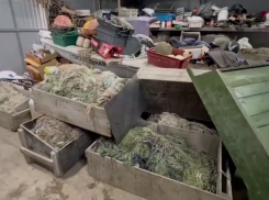 Так вот они где! В Краснодарском крае изъято более 100 т рыбы и свыше 500 кг масла