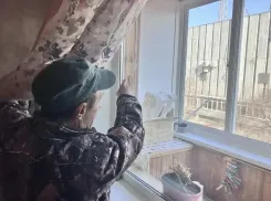 Киев доигрался: преступные действия ВСУ против новороссийцев расследует СК России 