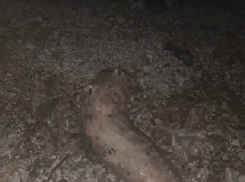 Нечто необъяснимое и пугающее нашли на пляже Новороссийска 