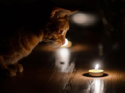 Многие улицы Новороссийска сегодня останутся без света 