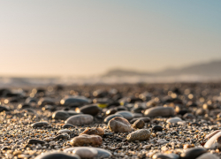 В 1,5 раза вырос спрос на курорт Кубани в бархатный сезон — в том числе на Новороссийск