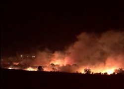 Крупный пожар удалось отбить от жилых домов в Новороссийске