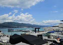 Между Новороссийском и Гоа появится морское сообщение