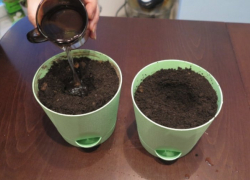 Новороссиец хранил наркотики кустами