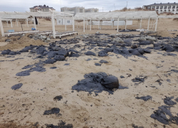 Весь берег в мазуте: как выглядит пляж Анапы после разлива нефти 