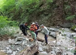 Туристка полезла в ущелье в Геленджике и сломала руку