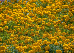 Погода в Новороссийске: жарко и очень сухо