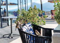 Гороскоп от «Блокнота»: Львам быть великодушными, а Тельцам не торопиться с решениями 