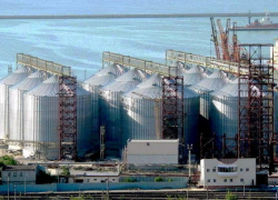 Новый генеральный директор назначен в "Новороссийский зерновой терминал"